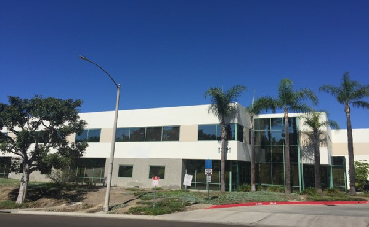 An office building with palm trees in front of it