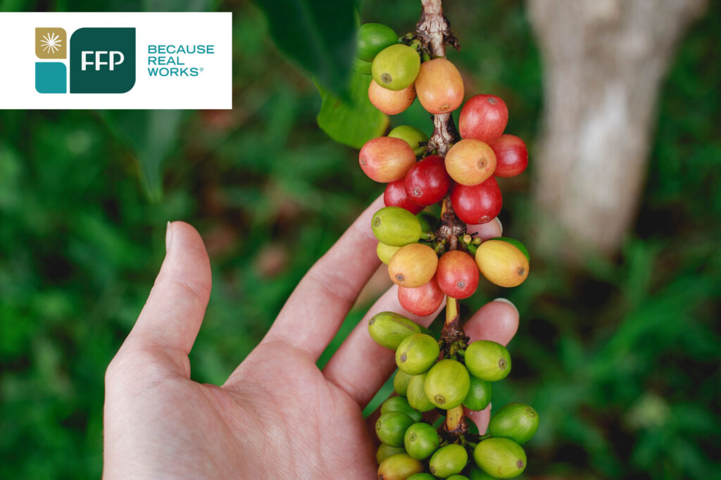 A hand is holding a bunch of berries